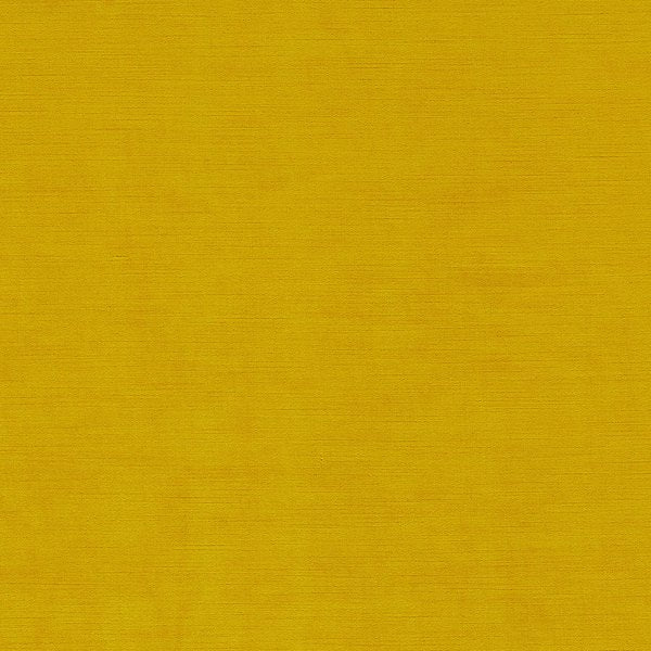 Chartreuse | Launchss22