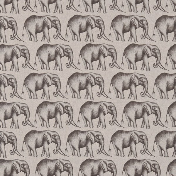 Savanna | Elephant