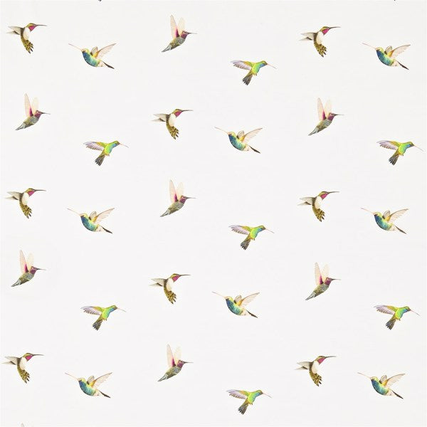 Amazilia | Flamingo/papaya/apple