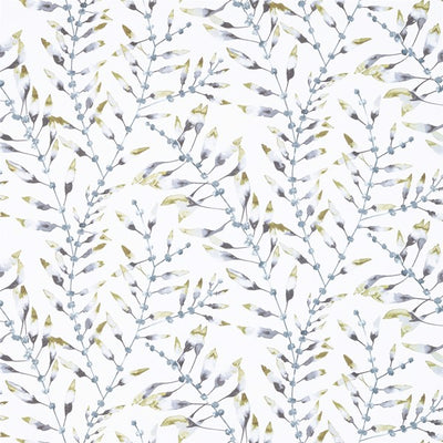 Chaconia Lagoon/Linden