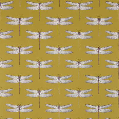 Demoiselle Chartreuse/Grape