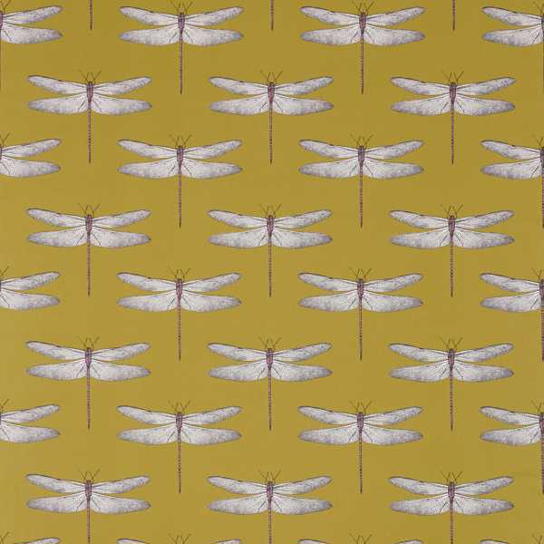 Demoiselle Chartreuse/Grape