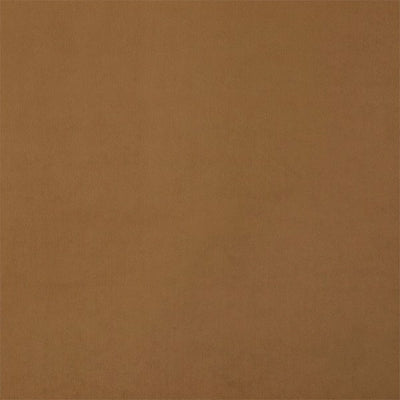 Entity Plains Biscuit