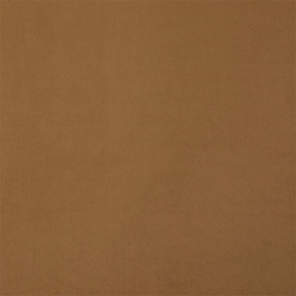 Entity Plains Biscuit