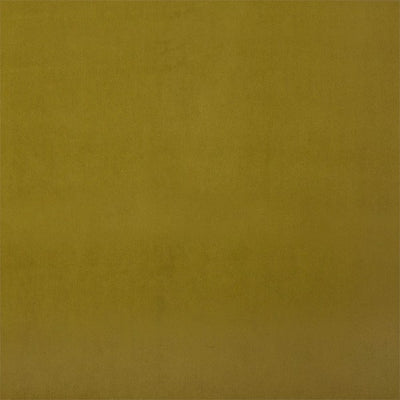 Entity Plains Chartreuse