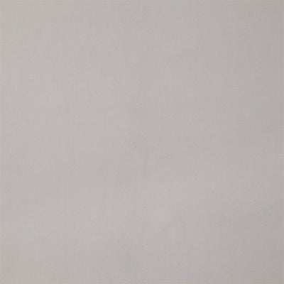 Entity Plains Silver