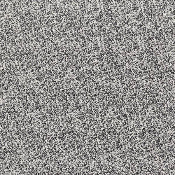 Teesha | Tortoiseshell