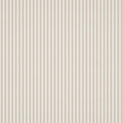 Carnival Stripe Calico