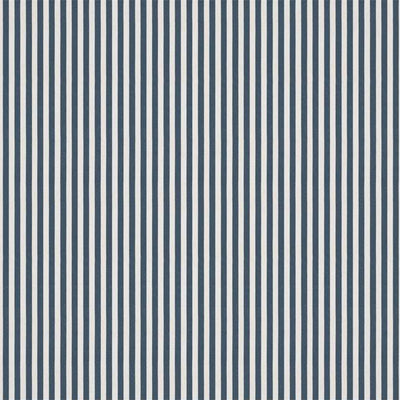 Carnival Stripe Navy