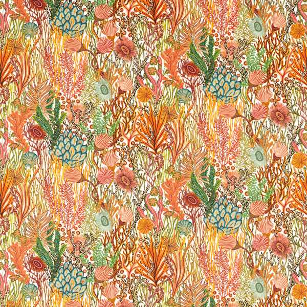 Acropora | Brazilian