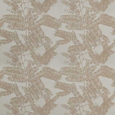 Extravagance Champagne