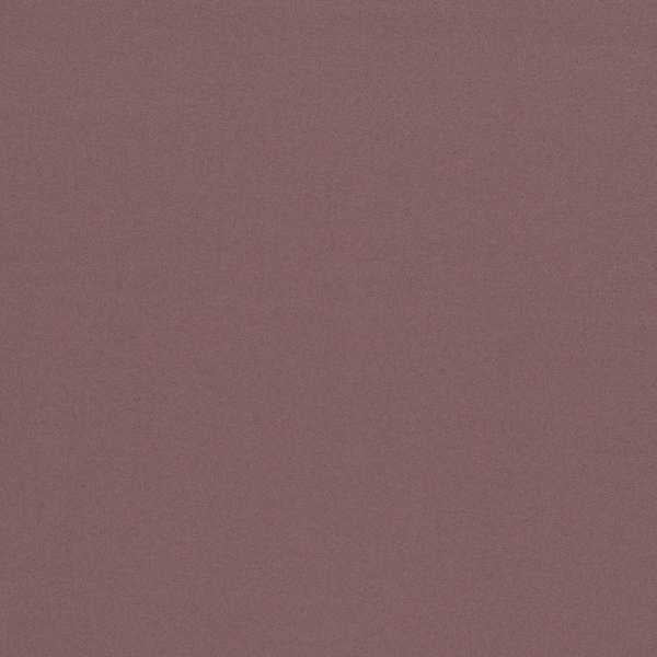 Empower Plain Thistle