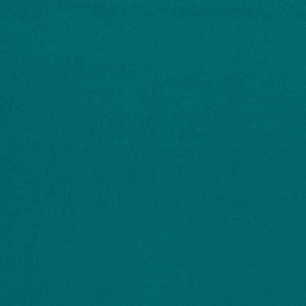 Empower Plain Kingfisher