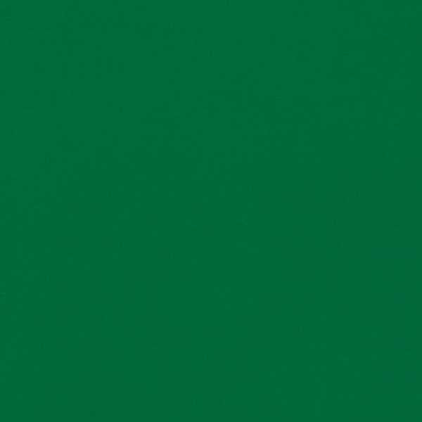 Empower Plain Bottle Green