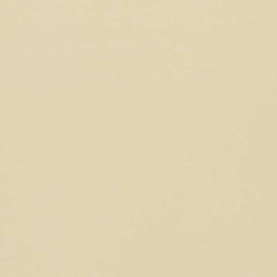 Empower Plain Almond