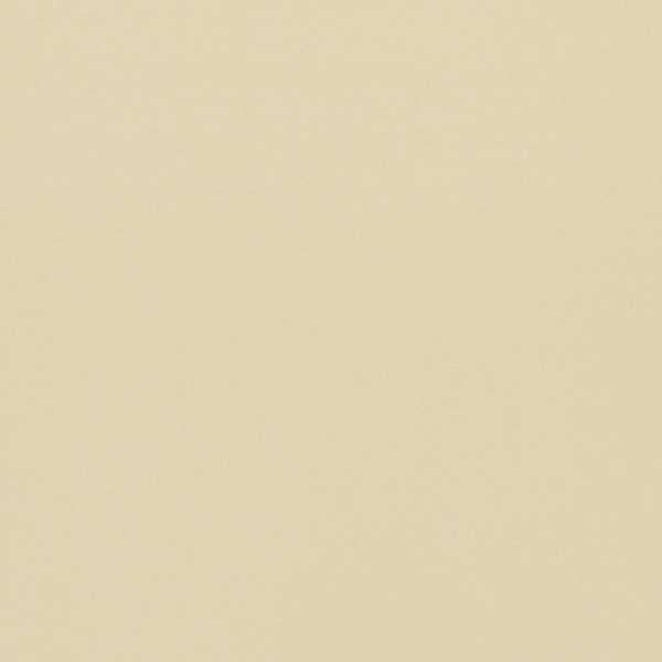 Empower Plain Almond