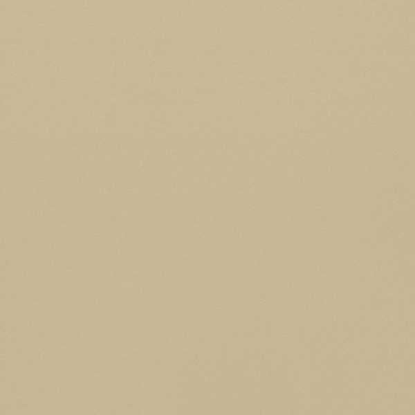 Empower Plain Shela Beach