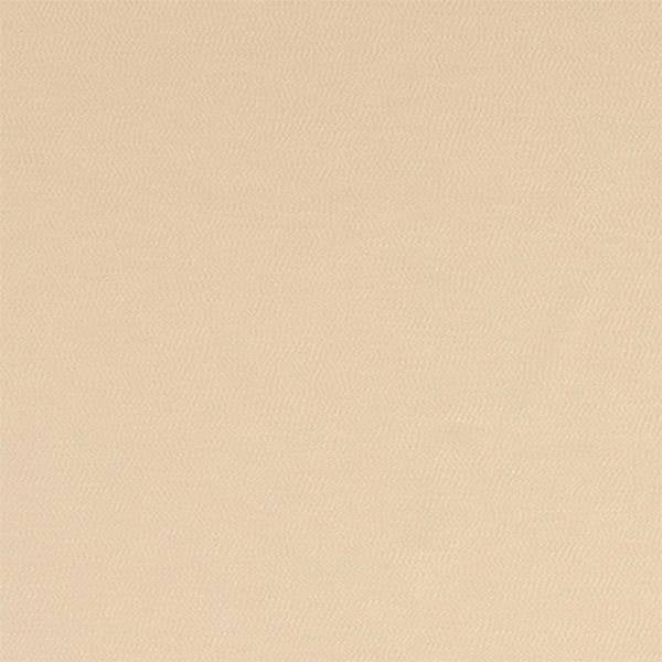 Montpellier | Oyster