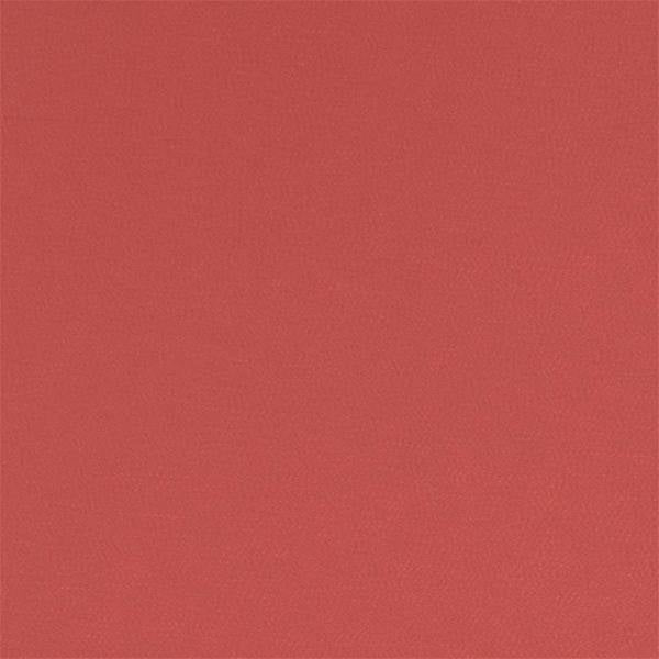 Montpellier | Blossom