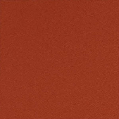 Montpellier | Harissa