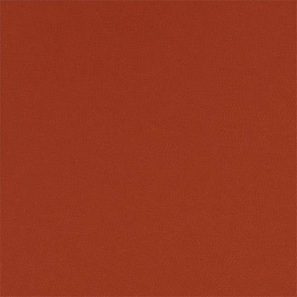 Montpellier | Harissa