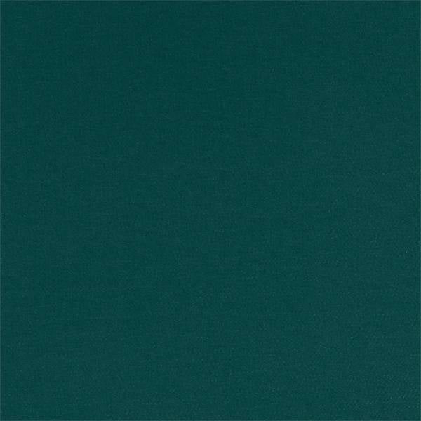 Montpellier | Forest