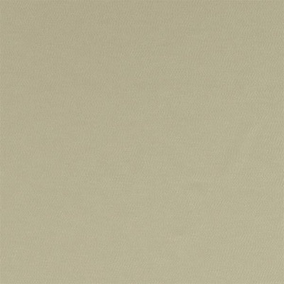 Montpellier | Willow