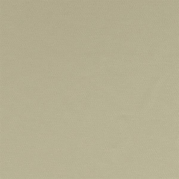 Montpellier | Willow