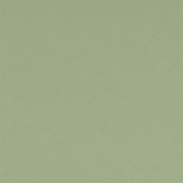 Montpellier | Peppermint