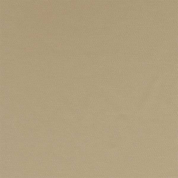 Montpellier | Pumice