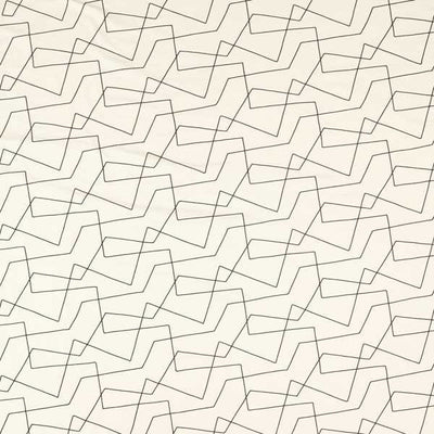 Extensity Calico/ Ebony