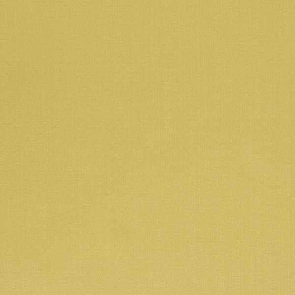 Electron Honeysuckle