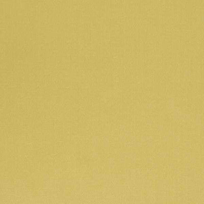 Electron | Honeysuckle