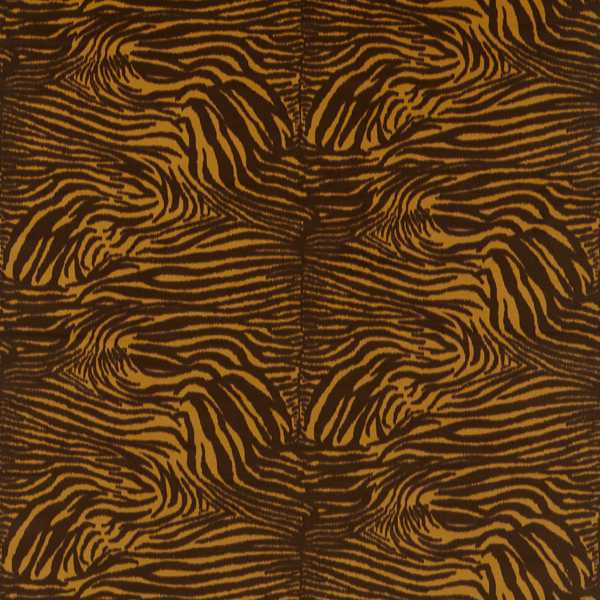 Equidae Onyx/Amber Light