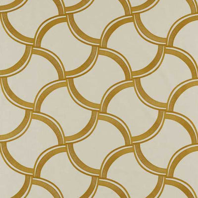 Cognate Dijon/Shiitake