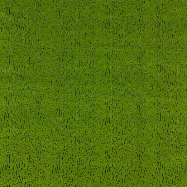 Lyrical Forest/Black Earth