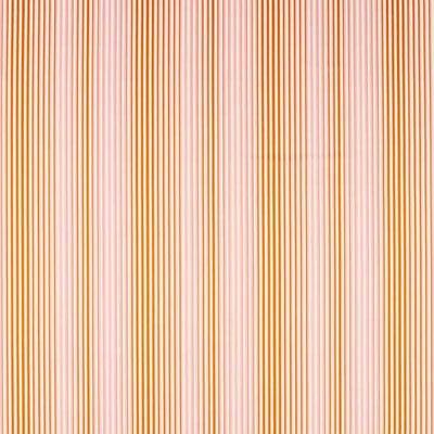 Calla Clemetine/Peony