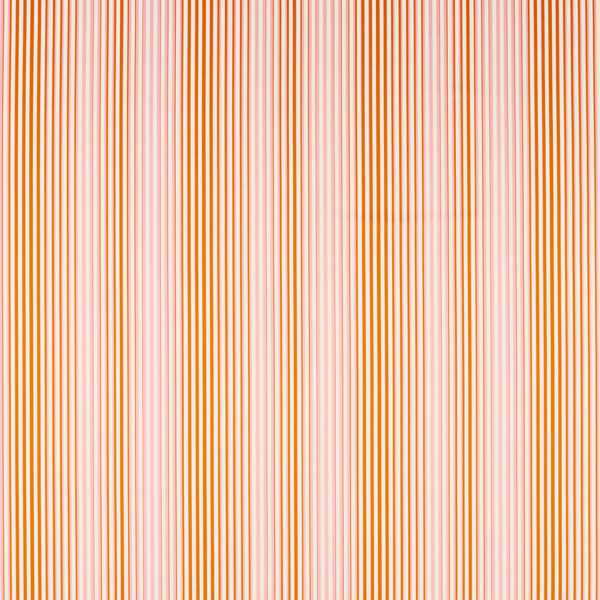 Calla Clemetine/Peony