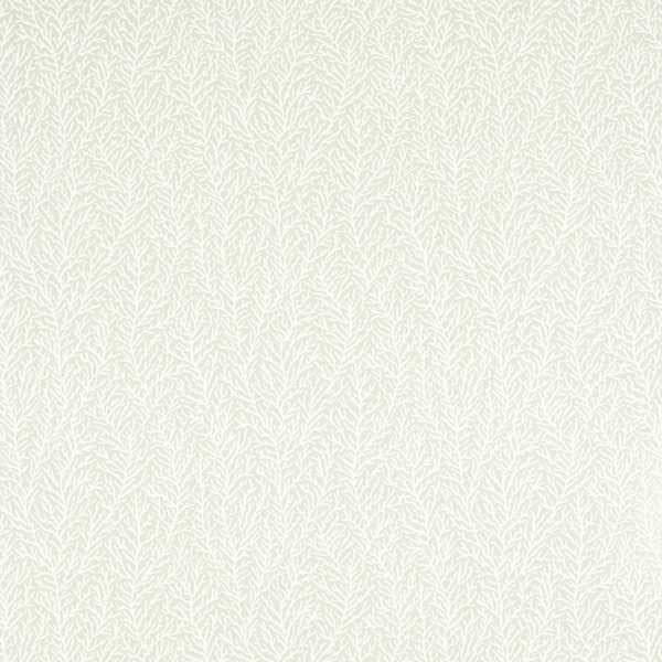 Atoll Diffused Light/First Light