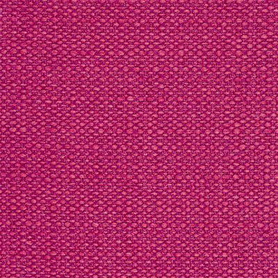 Particle Fuchsia