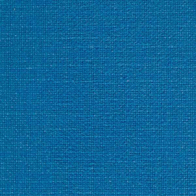 Quadrant Forget Me Not