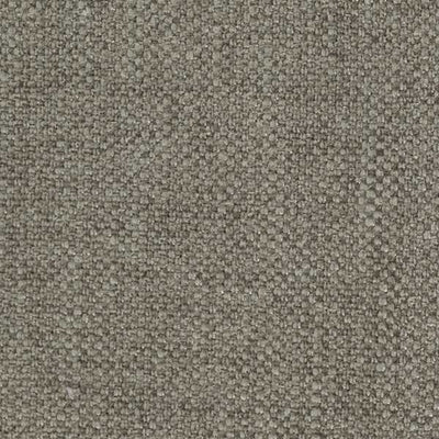 Molecule Pigeon Grey