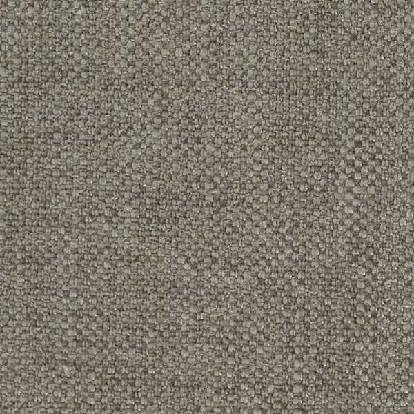 Molecule Pigeon Grey