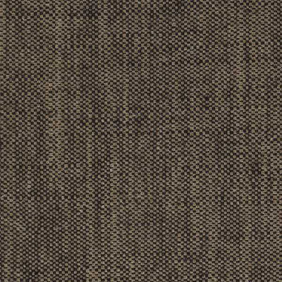 Atom | Tortoiseshell