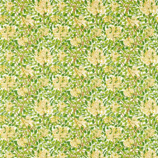 Honeysuckle | Cream/chocolate