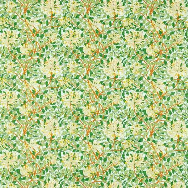 Honeysuckle Sky/Burnt Orange