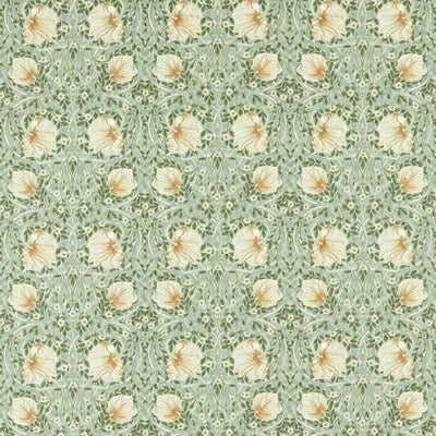 Pimpernel | Bayleaf/manilla