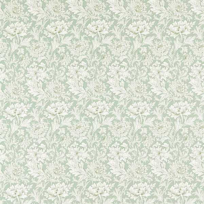 Chrysanthemum Toile Willow