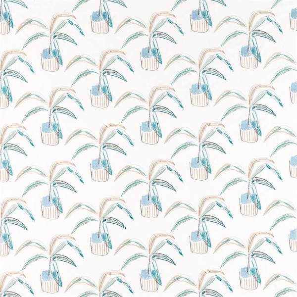 Crassula | Marine/tangerine/mint