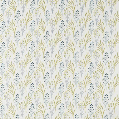 Kinniya | Grasshopper